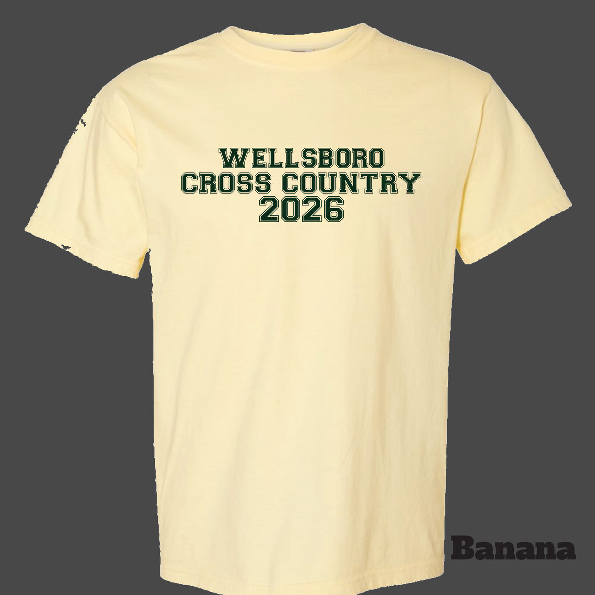 Wellsboro Cross Country