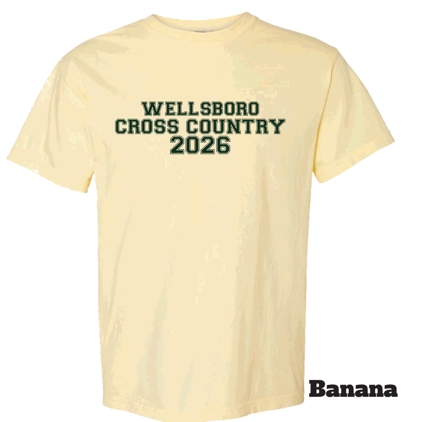 Wellsboro Cross Country