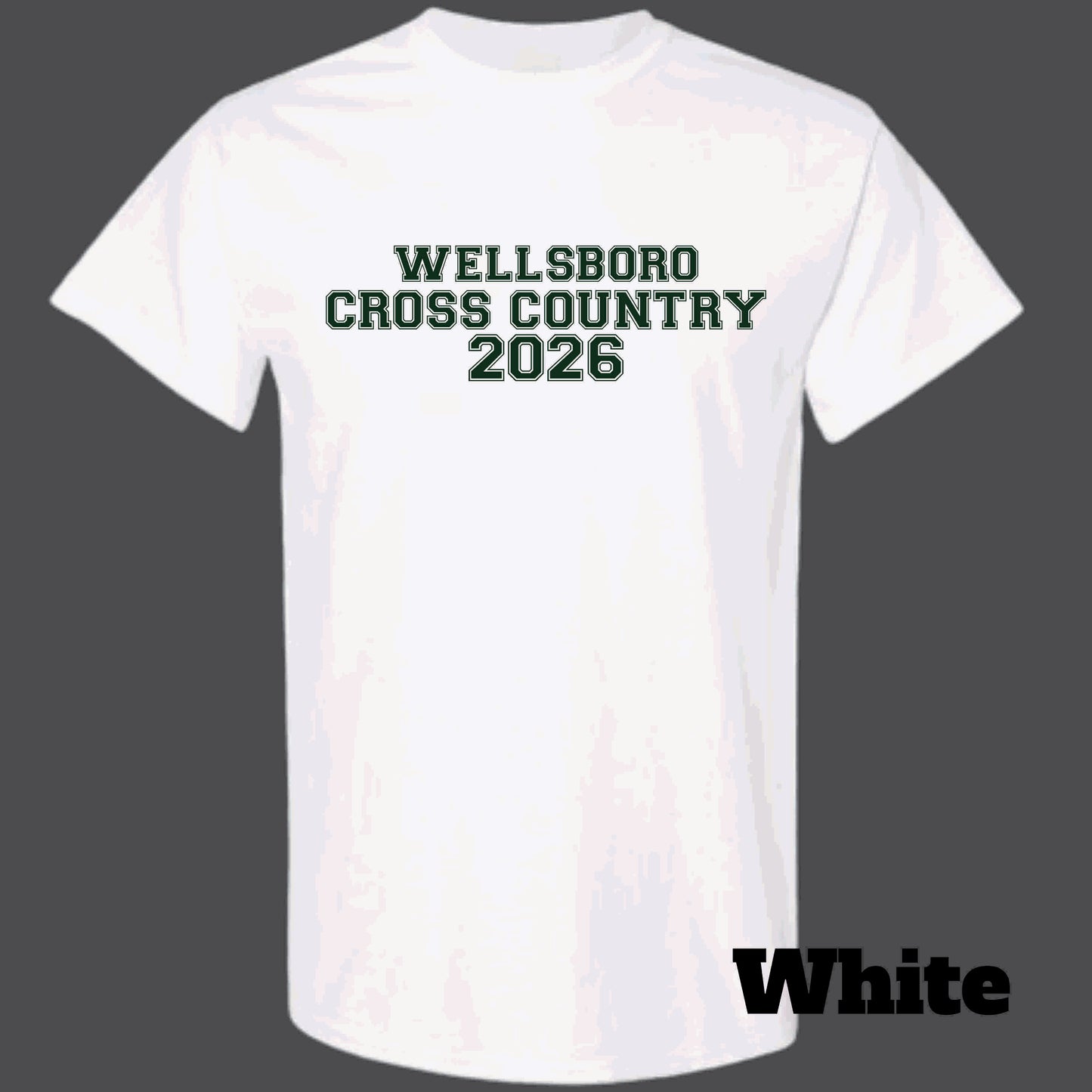 Wellsboro Cross Country