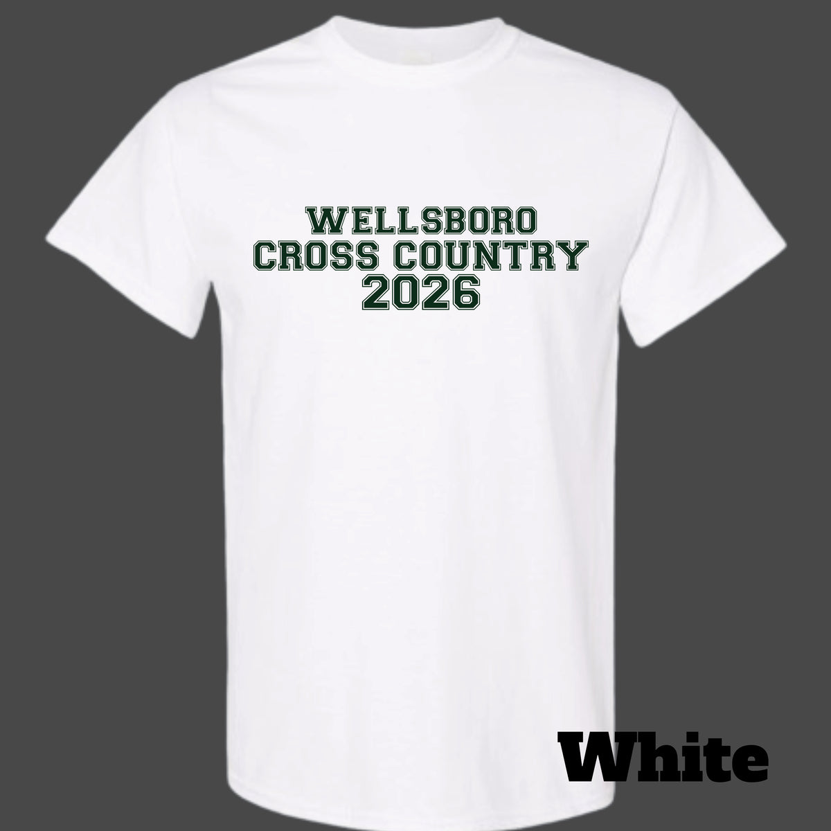 Wellsboro Cross Country