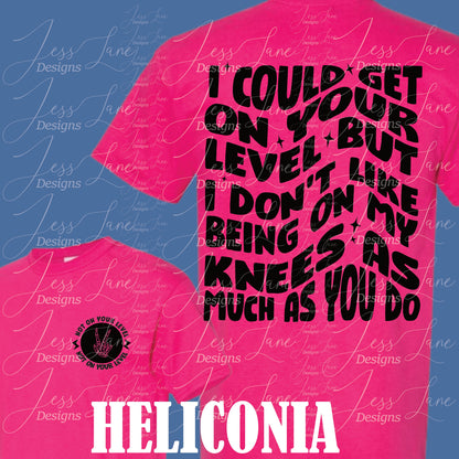 I Could Get On Your Level But I Don't Like being on my knees as much as you do Shirt